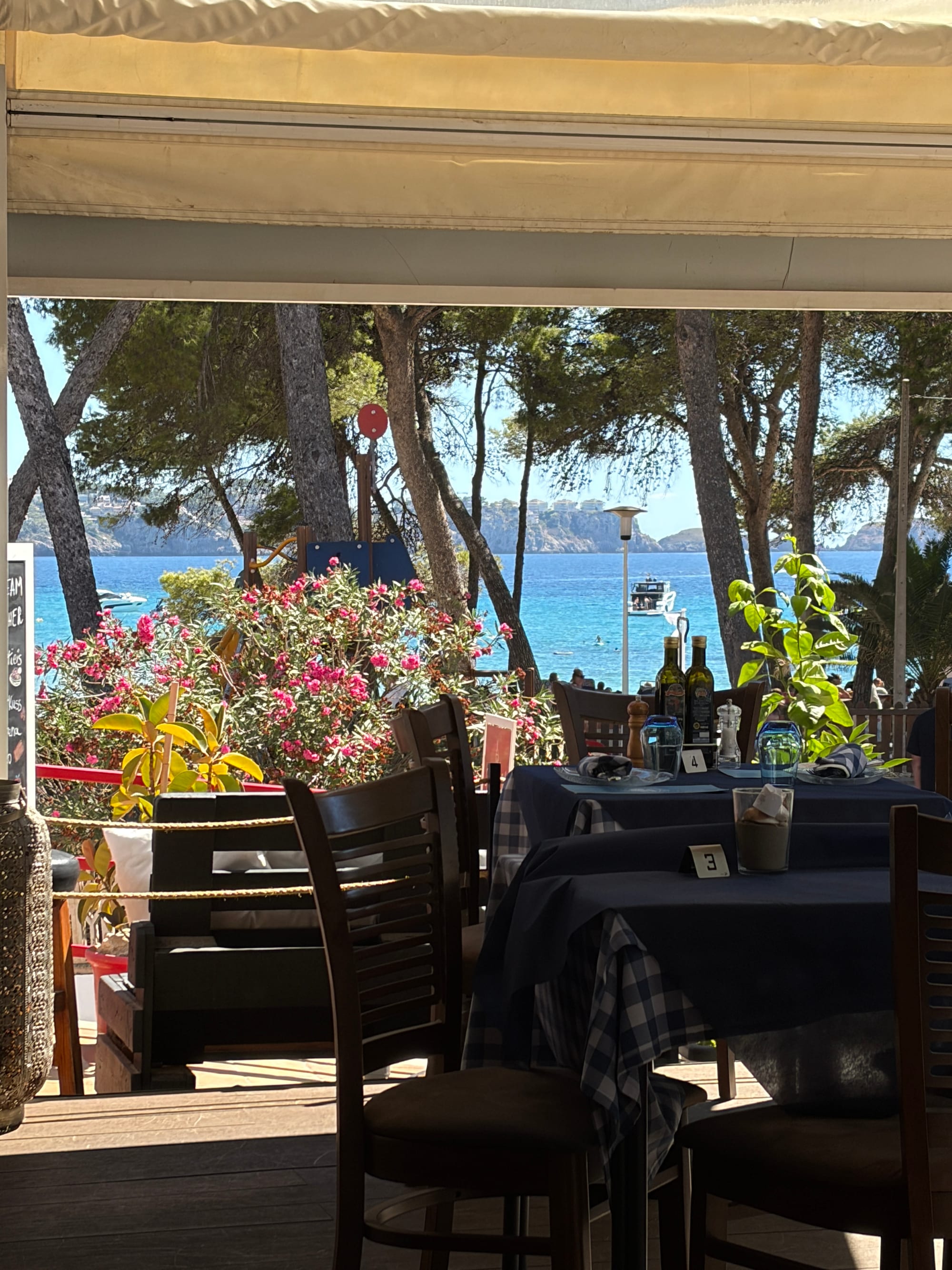 La terrazza sul mare: tavoli con tovaglia blu, oleandri rosa in fiore, pini alti e il mare turchese con le montagne sullo sfondo
